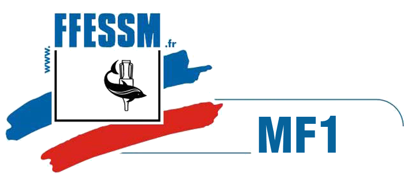 RÃ©sultat de recherche d'images pour "mf1 ffessm"