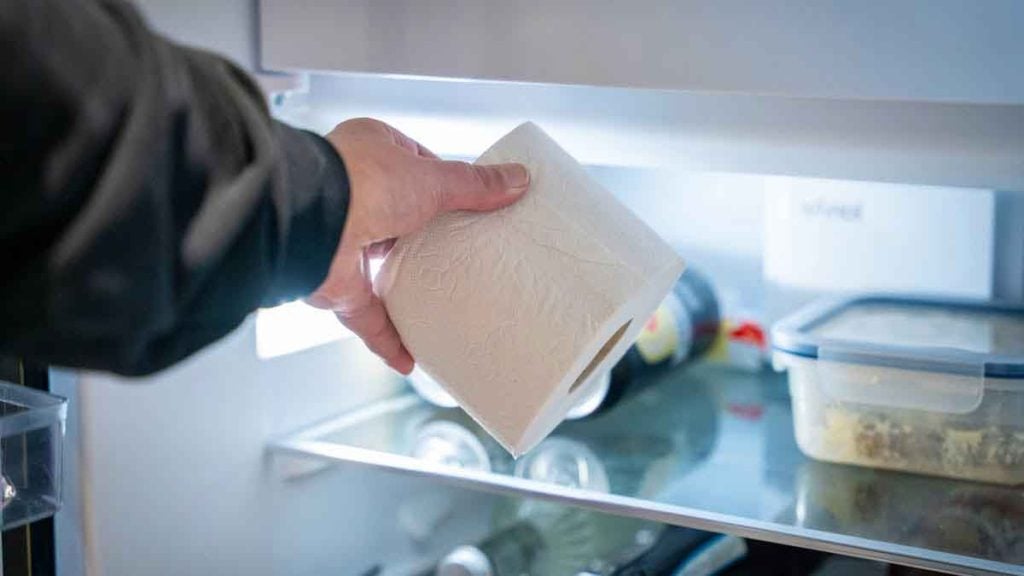 « Insolite », il met du PQ dans le frigo pour faire des économies et le résultat est bluffant