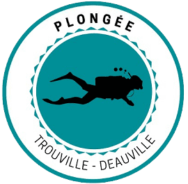 club-plongee-trouville.fr