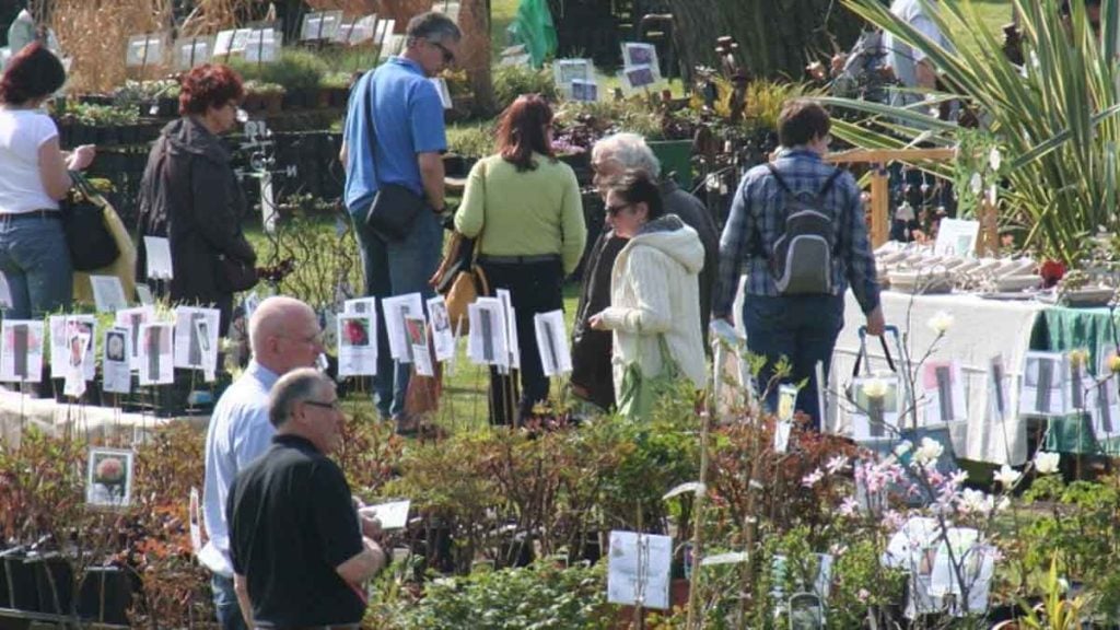 « Des tomates qui ont du goût »  ces plants font fureur dans ce site le plus visité du Maine-et-Loire