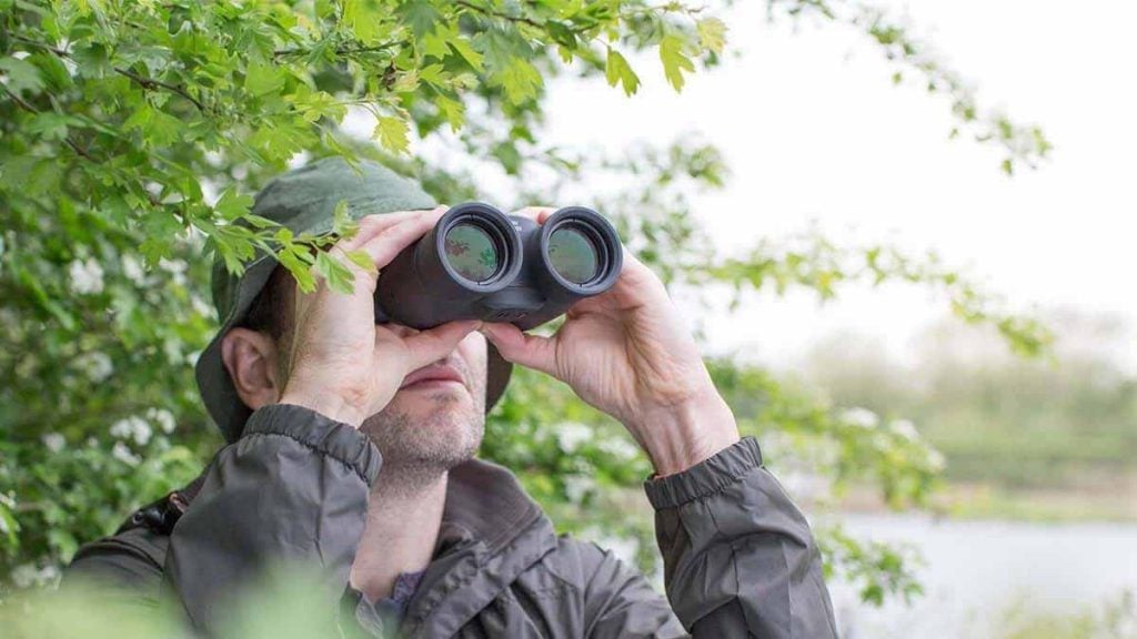 « Mon voisin a coupé l’arbre dans mon jardin pour m’espionner pendant que je bronze »